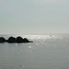 Sandra Korte289 - @sandrakorte289 - TikTok
