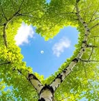 Sandra Kostic - Facebook