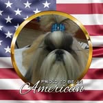 Sandra Koziol - @dasukibabies - Instagram
