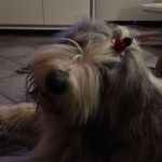 Sandra Kraemer - @info.kraemer.mail - Instagram