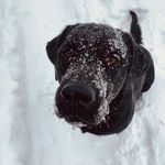 @sandra_kraemer_66 - Instagram