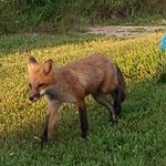 Sandra Kraemer - @kraemer.sandra - Instagram