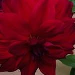 Sandra Kramp - @sandra_kramp - Instagram