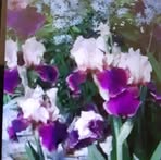 Sandra Krampitz - Facebook