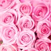 ♡ThinkPink♡ - @sandrakramp7 - TikTok