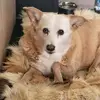 sandi - @sandrakratzer0 - TikTok