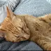 Sandra Krawczyk - @sandra.krawczyk6 - TikTok