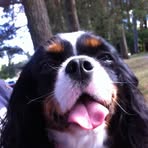 Sandra Krogstad - Facebook