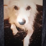 Sandra Kroll - @sandrakroll80.xx - Instagram