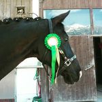 Sandra Kröll - @sueno2010 - Instagram