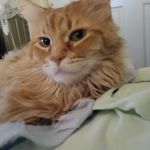 Sandra Krom - @kromsandra - Instagram