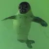 sandrakromhoutvandermeer - @sandrakromhoutvandermeer - TikTok