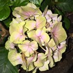 Sandra Sonja Kronmüller - @sandrakronmuller - Instagram