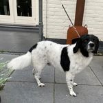Sandra Kroon - @kroon653 - Instagram