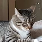 Sandra Krottner - @sandrakrottner - Instagram