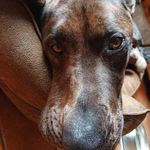 Sandra Kruse - @sa_ni_kr - Instagram