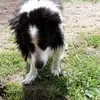 Sandra kruse - @sasa_love_best05 - TikTok