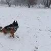 Sandra Kubik - Owca - @sandrakubik3 - TikTok