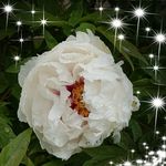 Sandra Kuder - @kuder_sandra - Instagram