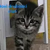 Sandra Kuhar - @sandra.kuhar5 - TikTok