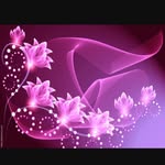 Sandra Kulick - @sandrakulick - Instagram