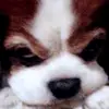 Sandra Kyle - @sandrakyle57042 - TikTok