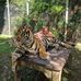 Sandra Kyles - Facebook