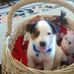 Sandra Ladd - Facebook