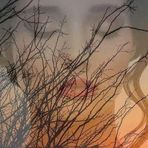 Ƹ̴Ӂ̴Ʒ  Sandra De Tu Lado  Ƹ̴Ӂ̴Ʒ - Facebook