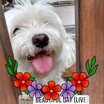 Sandra Lafferty - @sandra.lafferty5328 - Instagram