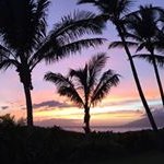 Sandra Laird - @sandilaird - Instagram