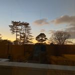 Sandra Laird - @lardyloo - Instagram