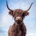 Sandra Laird - Facebook