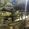 Sandralamas - @sandralamas123 - TikTok