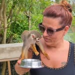 Sandra Lamontagne - @lamontagnesandra - Instagram