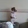 Sandra Langdon - @sandra.langdon - TikTok