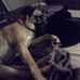 Sandra Langdon - Facebook