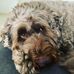 Sandra Langdon - Facebook