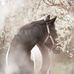 Sandra Langer - Facebook