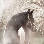 Sandra Langer - @sandra.langer.9822 - Instagram