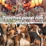 Sandra Langer - @sandralanger78 - Instagram