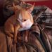 Sandra Langley - Facebook