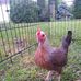 Sandra Langley - Facebook