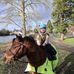 Sandra Langley - Facebook