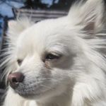 Sandra Langston - @langston536 - Instagram