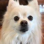 Sandra Langston - @langston8061 - Instagram