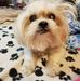 Sandra LaRocque - Facebook
