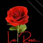 Sandra la Rose - @larose8632 - Instagram
