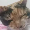 ديمه.العجلان - @sandralarsoncsuuxbx - TikTok