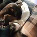 Sandra Lassiter - Facebook